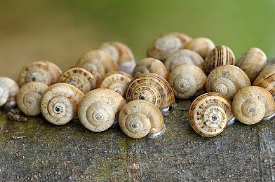 全新恐怖游戏《Unholy》16分钟实机演示分享